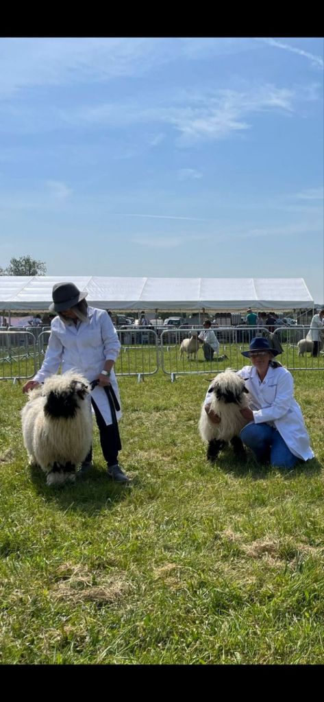 img-20240512-wa00064572379602638204304